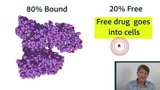 Pharmacokinetics Part 2 Distribution protein binding equilibrium [upl. by Juback]