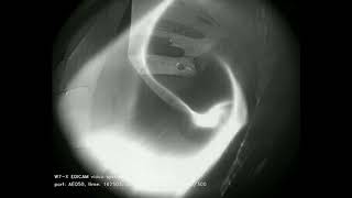 Wendelstein 7X plasma video part 2 [upl. by Dare261]