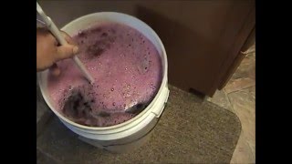 Making Blueberry Wine [upl. by Janicki]