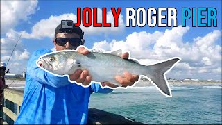 Jolly Roger Pier Fishing Topsail NC [upl. by Arrehs776]