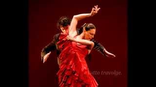 Flamenco de fuego [upl. by Hoagland265]