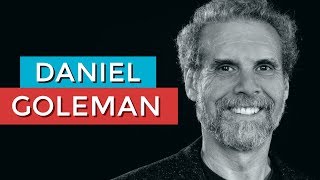 DANIEL GOLEMAN E A INTELIGÊNCIA EMOCIONAL  RODRIGO FONSECA [upl. by Mian]