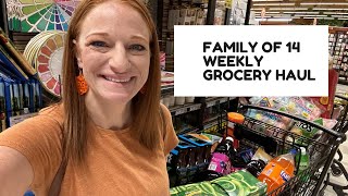 FAMILY OF 14 GROCERY HAUL [upl. by Olmsted575]