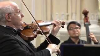 Antonio Vivaldi – Violin Concerto in gminor RV 317 [upl. by Halimak]