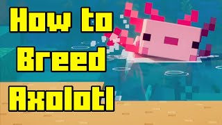 Minecraft How to Breed Axolotls [upl. by Bilbe204]