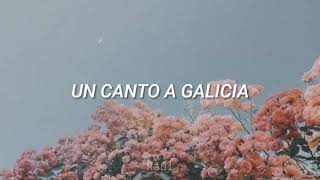 Un Canto A Galicia ✨ Letra  Julio Iglesias [upl. by Kenwee]