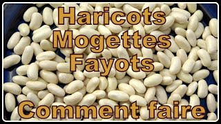 Haricot blanc mogette flageolet  Comment faire N°30 [upl. by Gadmann671]