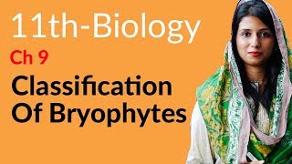 FSc Biology Part 1 Ch 9  Classification of Bryophytes  11th Class Biology [upl. by Stetson]