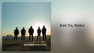 Los Lobos quotSail On Sailorquot from Native Sons [upl. by Notfilc]