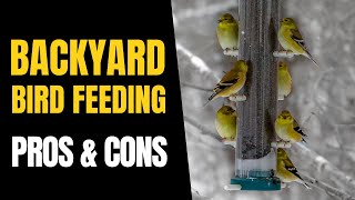 The PROS amp CONS of Backyard BIRD Feeding [upl. by Robins741]