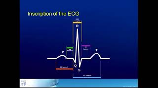 Aprenda a ler um Eletrocardiograma ECG [upl. by Aciruam]