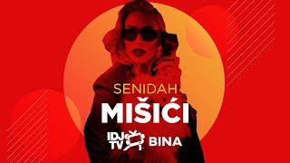 SENIDAH  MISICI LIVE  IDJTV BINA [upl. by Jairia44]