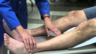 Peripheral vascular system assessment [upl. by Nylyaj253]