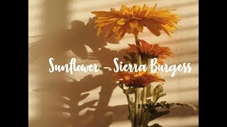 Sunflower  Sierra Burgess  1 hour loop [upl. by Onairda]