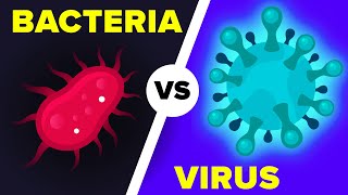 Virus vs Bacteria Whats Actually the Difference [upl. by Lally]