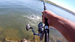 How To Catch HUGE Catfish From The Bank [upl. by Gascony]