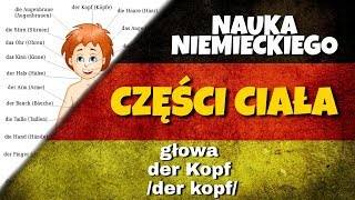 Części ciała po niemiecku [upl. by Shaylyn]