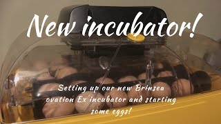 New incubator Setting up our NEW Brinsea Ovation Ex 28 [upl. by Theona411]