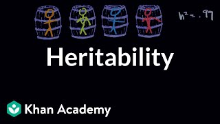 Heritability  Behavior  MCAT  Khan Academy [upl. by Sadler]