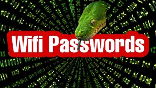 Get WiFi Passwords With Python  python project for beginners [upl. by Ardeahp]