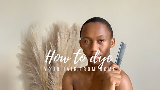 HOW TO DYE YOUR HAIR AT HOME  Inecto Dye [upl. by Yung864]