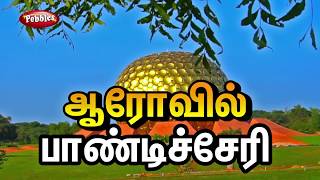 Auroville Puducherry  Travel Guide  Auroville Experience [upl. by Yenitirb]