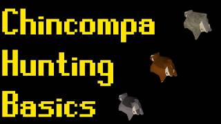 Basic Chinchompa Hunting Guide 2019 OSRS [upl. by Doscher]