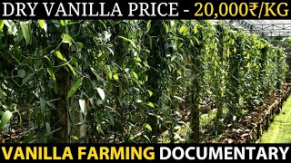 VANILLA FARMING  VANILLA CULTIVATION [upl. by Nnoryt]