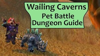 Wailing Caverns Pet Battle Dungeon Complete Guide [upl. by Ahsatniuq]