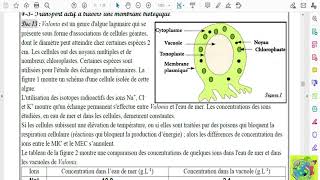 Partie 04 Absorption de leau et les sels minéraux chez les plantes chlorophylliennes [upl. by Aneelehs124]