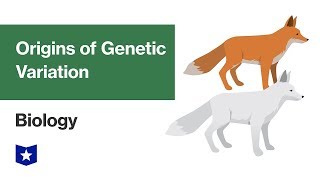 Origins of Genetic Variation  Biology [upl. by Ellinet738]