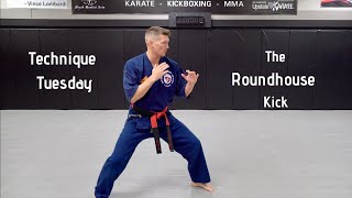 Technique Tuesday  How To The Roundhouse Kick [upl. by Rog]