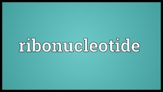 Ribonucleotide Meaning [upl. by Mairem187]