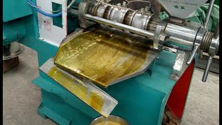 Best peanut groundnut oil making machine  peanut oil press extraction machine [upl. by Tunnell619]