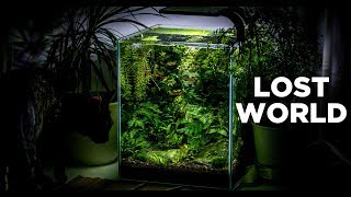 My LostWorld nano tank  The ultimate nature aquarium for beginners [upl. by Eloisa]