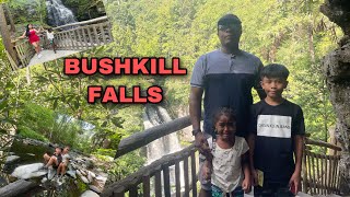 BUSHKILL FALLS [upl. by Zerat405]