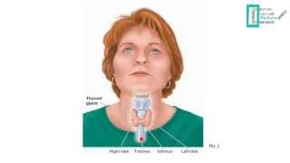 Thyroid Physiology [upl. by Elsey]