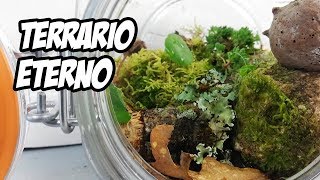 Cómo Hacer un TERRARIO ETERNO 🌱  Eternal Terrarium  La Huerta de Ivan [upl. by Airretal]