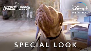 Special Look  Turner amp Hooch  Disney [upl. by Oihsoy588]