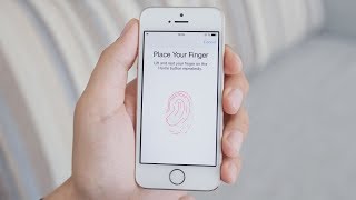 How Does Fingerprint Scanning Work [upl. by Ailimac]