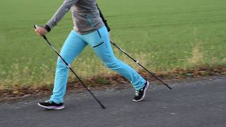 Nordic Walking  Die richtige Technik [upl. by Zingg783]