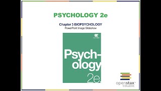 Video Lecture Chapter 3 Psychology 2e [upl. by Odlonyer]