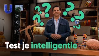 Wanneer ben je intelligent [upl. by Evaleen574]