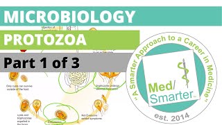 Protozoa  Microbiology  USMLE STEP 1  Part 1 of 3 [upl. by Oironoh503]