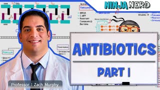 Antibiotics Cell Wall Synthesis Inhibitors Part 1 [upl. by Nilhsa]