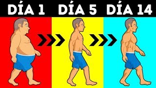 ¿Cuántas Calorías Debes Consumir Para Perder Peso [upl. by Nivets]