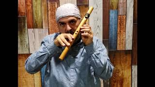 How to Play the Native American Flute in under 10 minutes EASY Lesson 1 [upl. by Rattan]