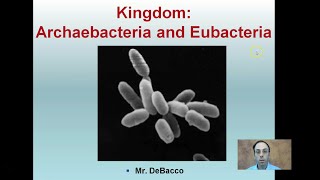 Kingdom Archaebacteria and Eubacteria [upl. by Nomde]