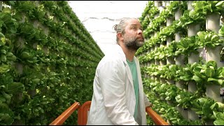 Is Hydroponic Produce Organic  Spill The Greens  Episode 1 [upl. by Snodgrass]