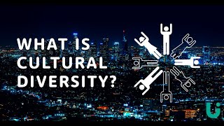 What is cultural diversity  Language Insight [upl. by Athallia404]